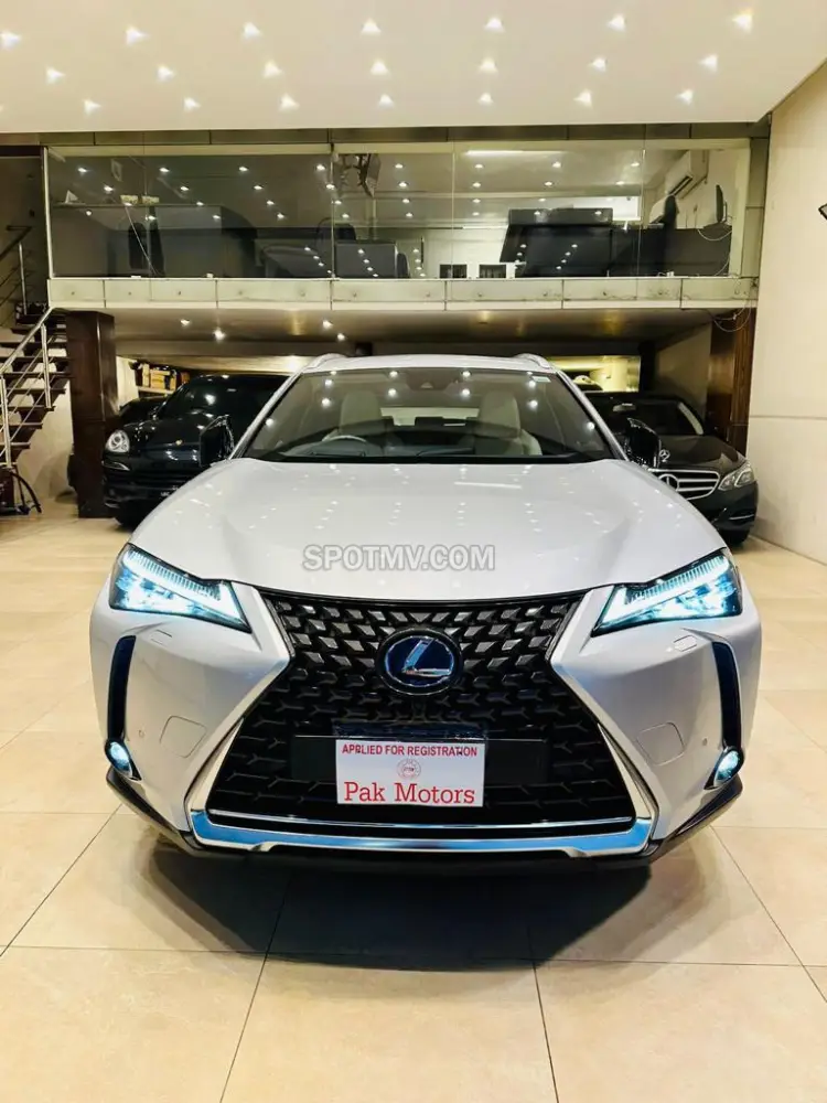 Lexus UX 300 E