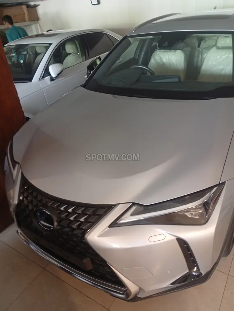 Lexus UX 300 E