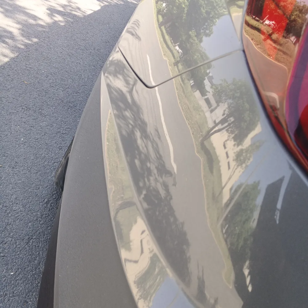 Back_bumper image