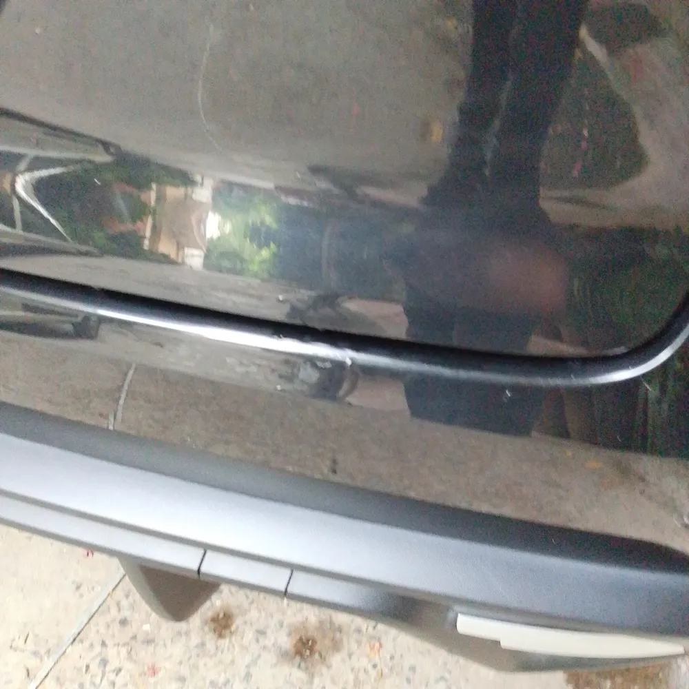 Back_bumper image