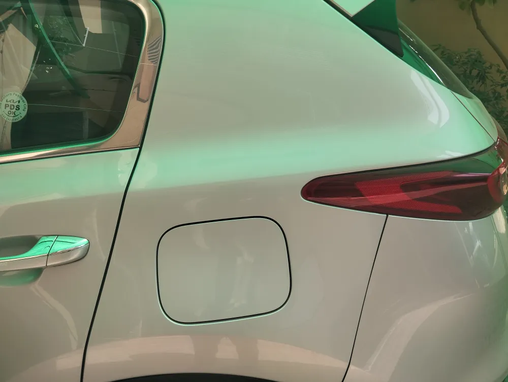 Rear fender back