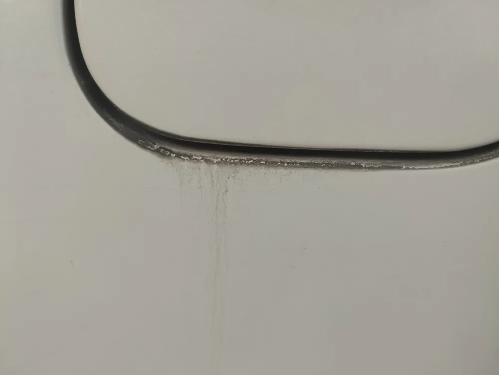 Rear fender back