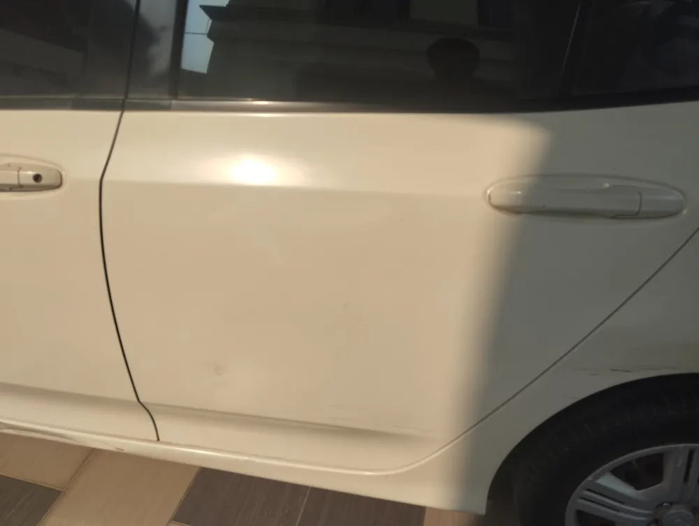 Rear left door