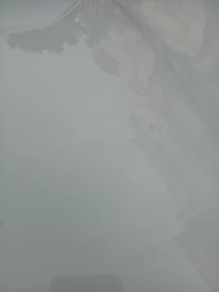 Bonut image
