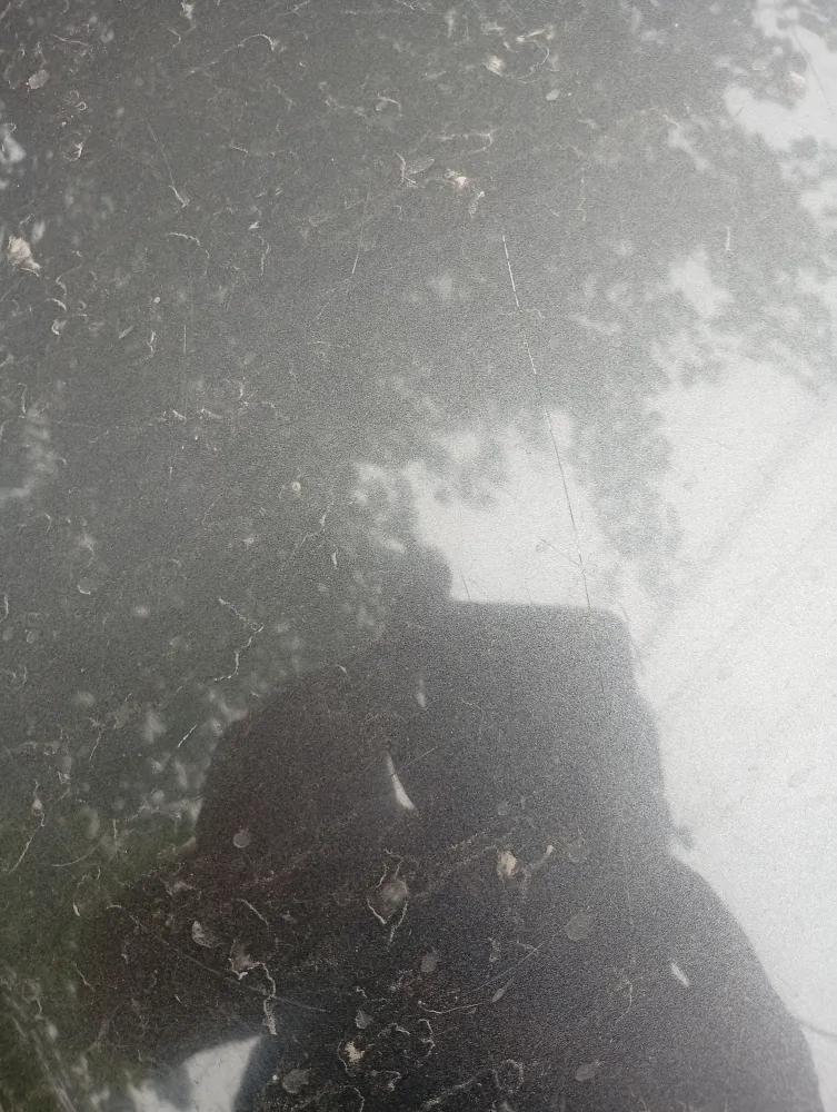 Bonut image