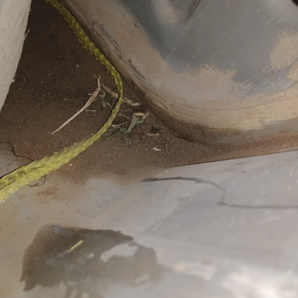 inspection-image