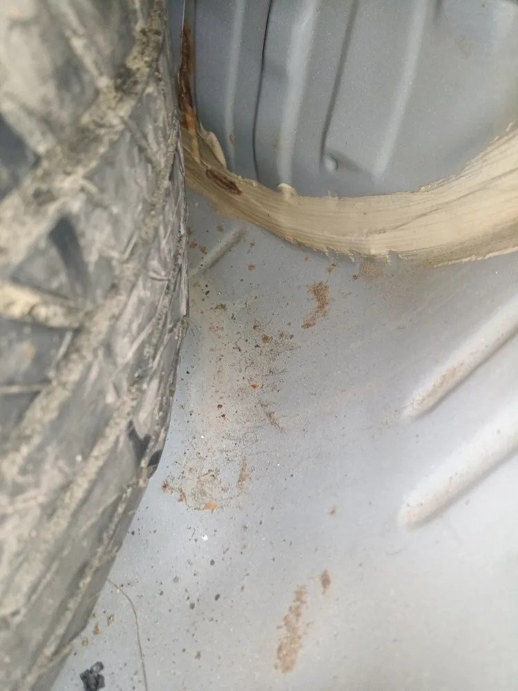inspection-image