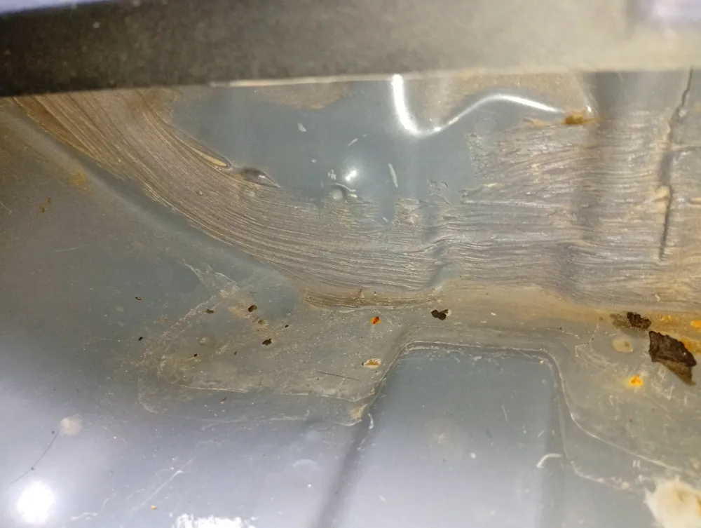 inspection-image
