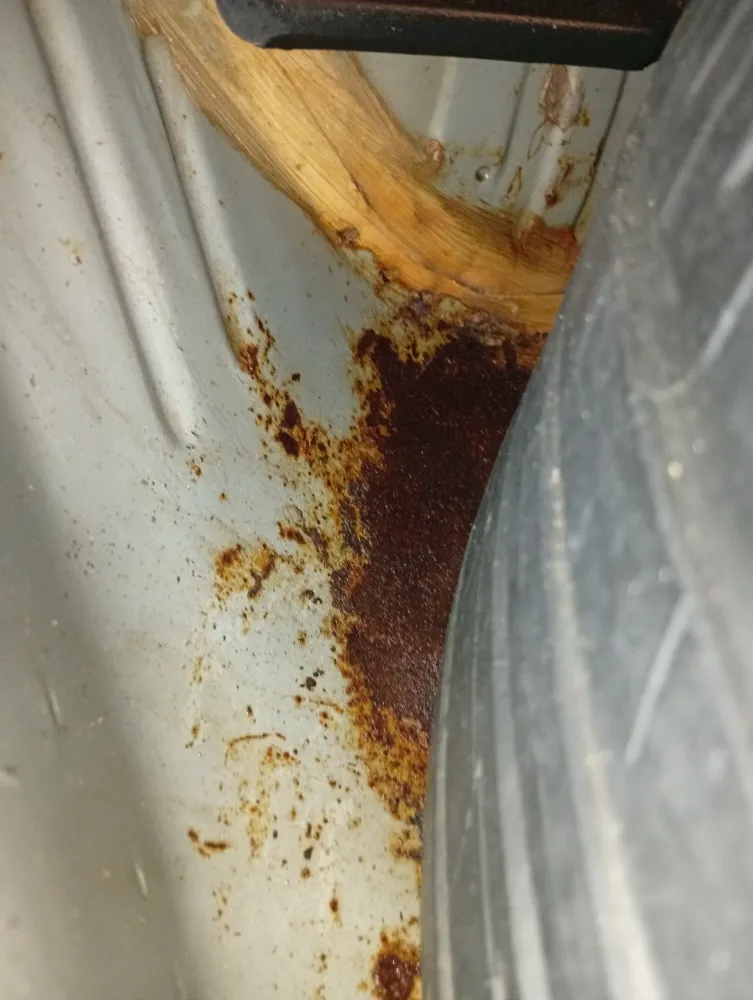 inspection-image