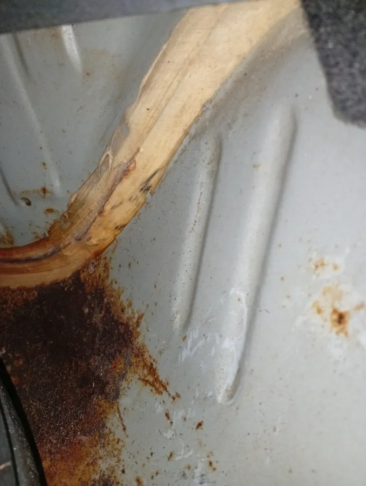inspection-image