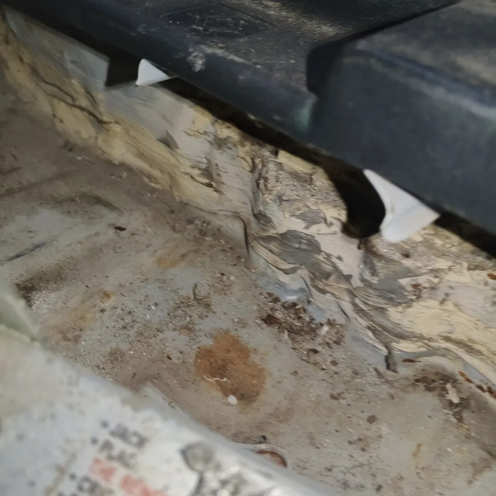 inspection-image