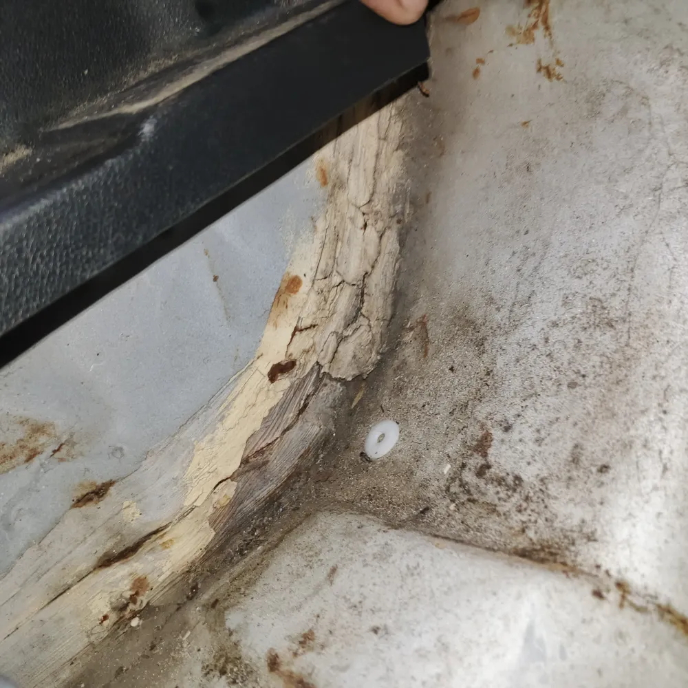 inspection-image