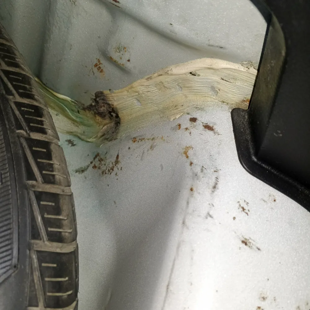 inspection-image
