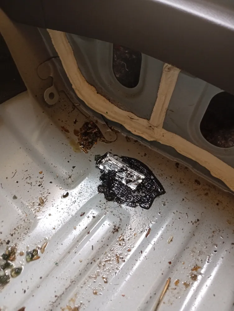 inspection-image