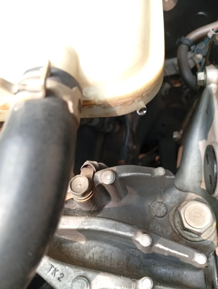 inspection-image