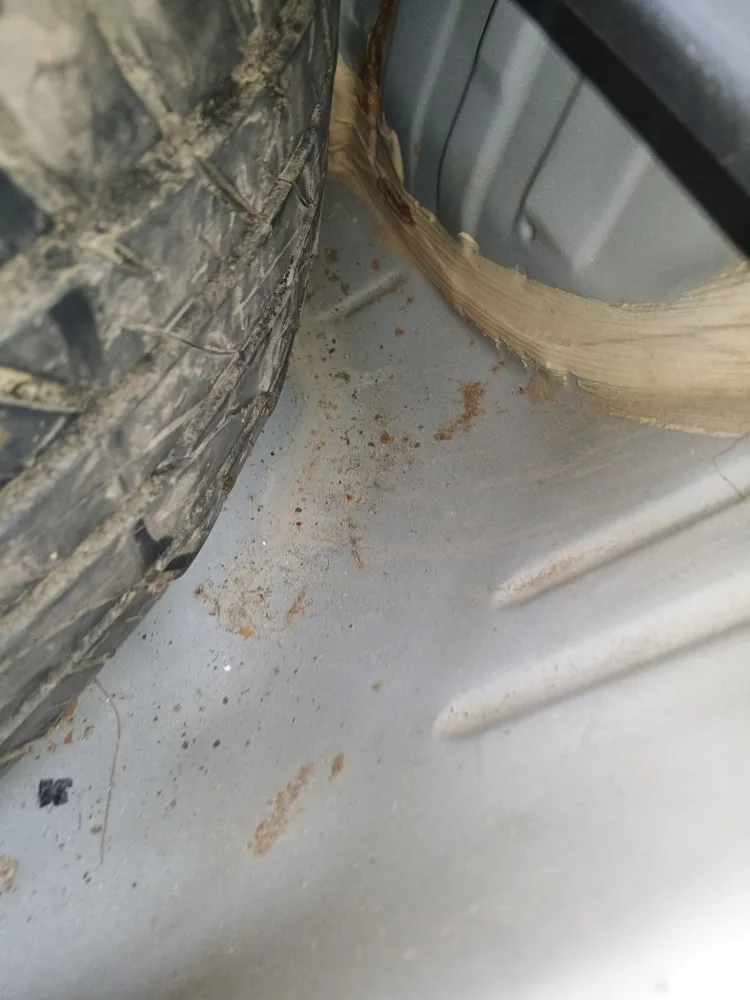 Damage Image