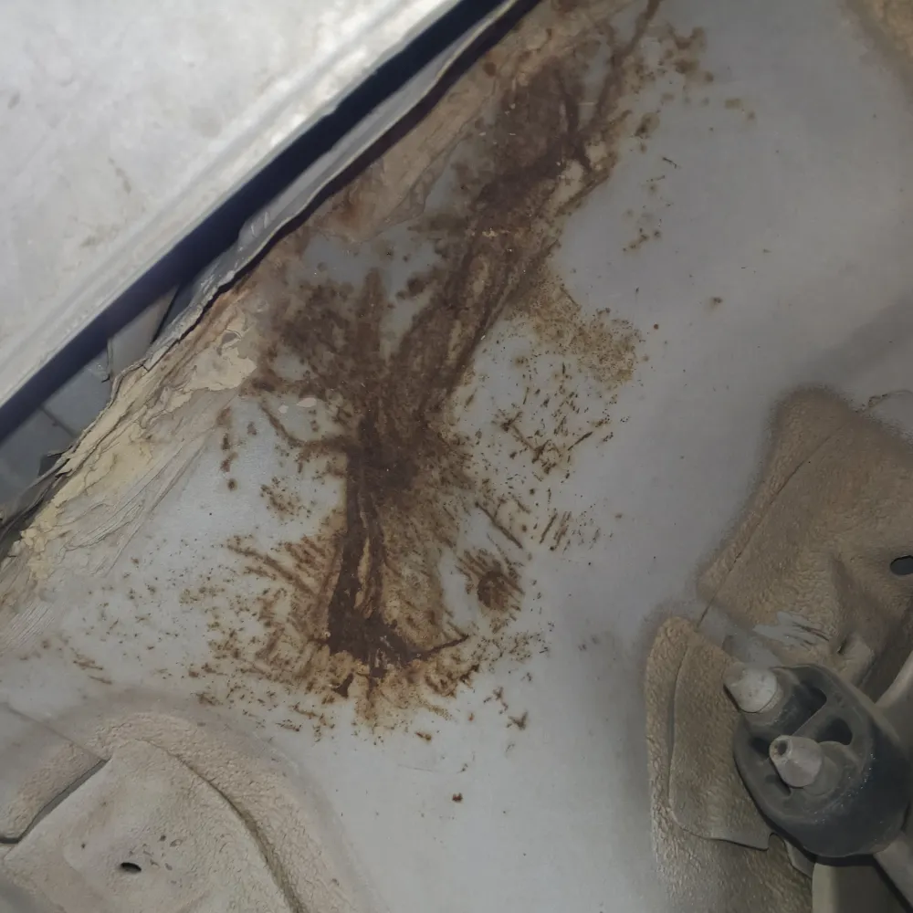 Damage Image