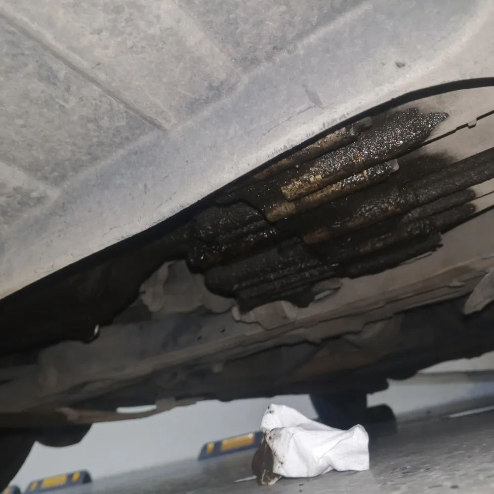 inspection-image
