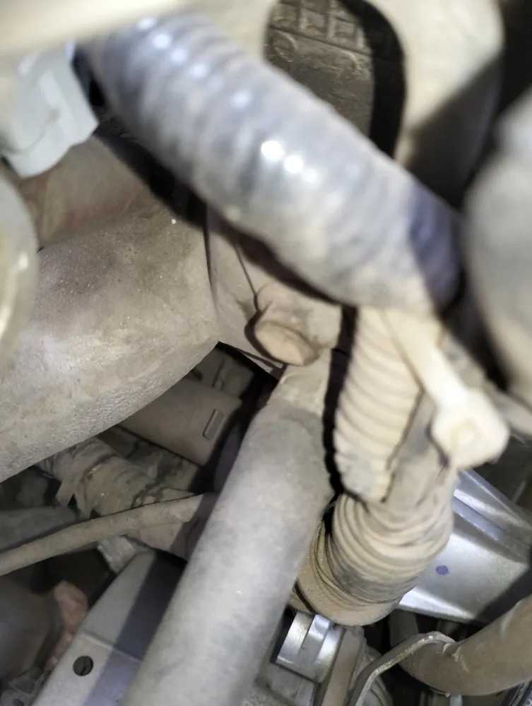 inspection-image