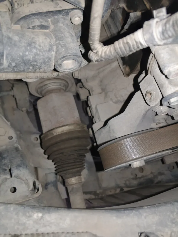 inspection-image