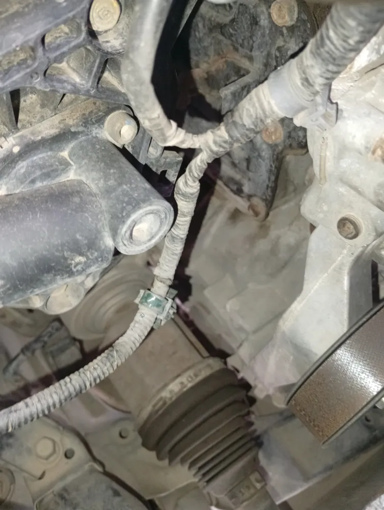 inspection-image