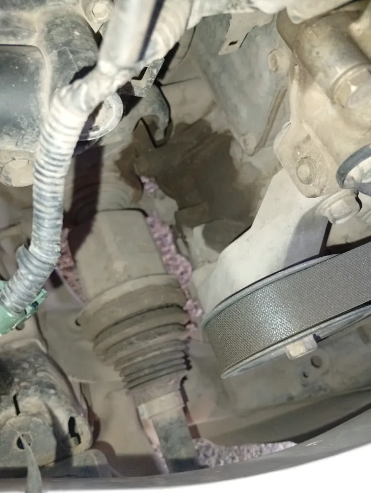 inspection-image