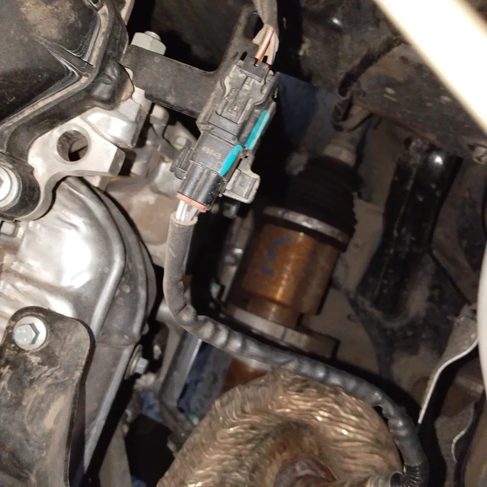inspection-image