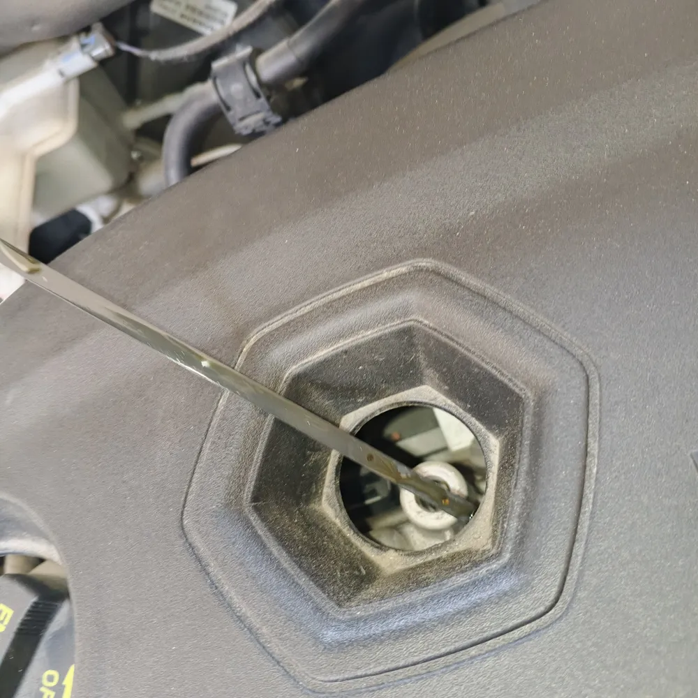 inspection-image
