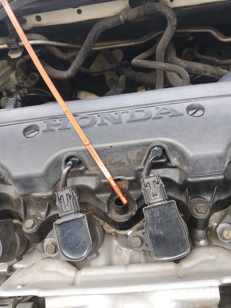 inspection-image
