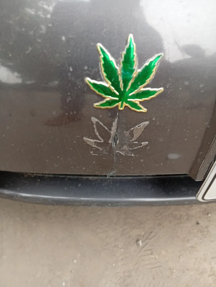 Front_bumper image