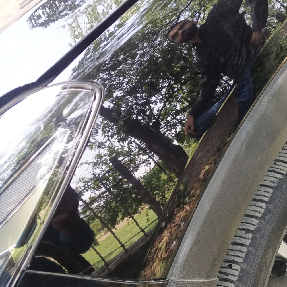 Front_fender_left image