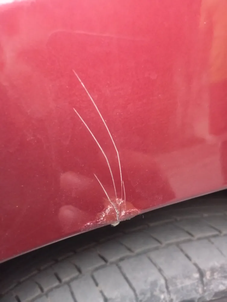 Front_fender_left image