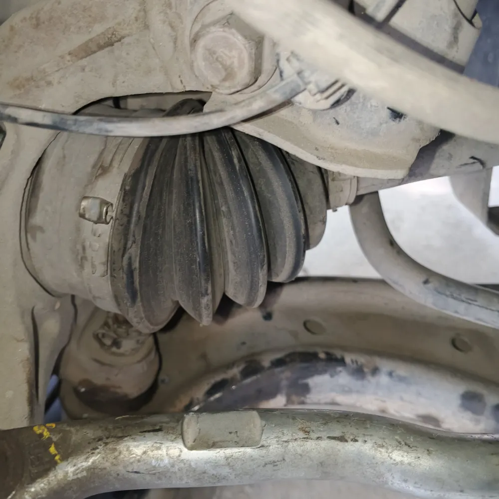 inspection-image