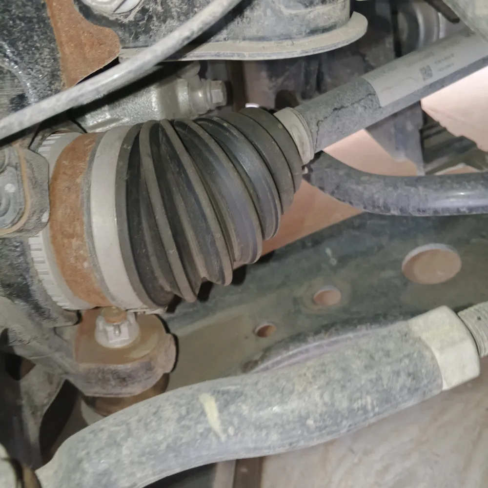 inspection-image