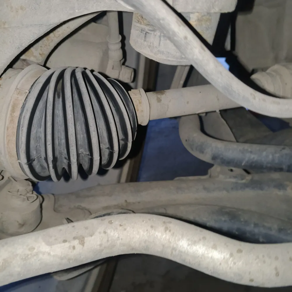 inspection-image