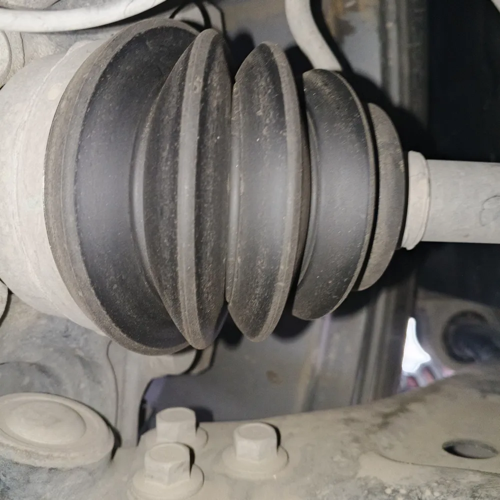 inspection-image
