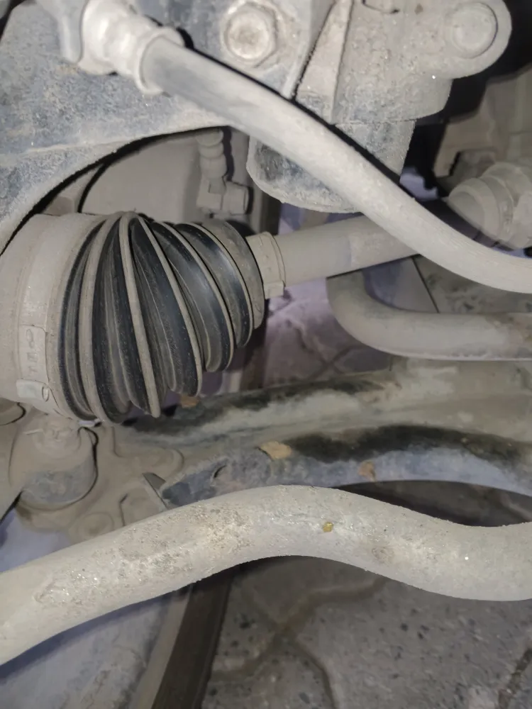 inspection-image