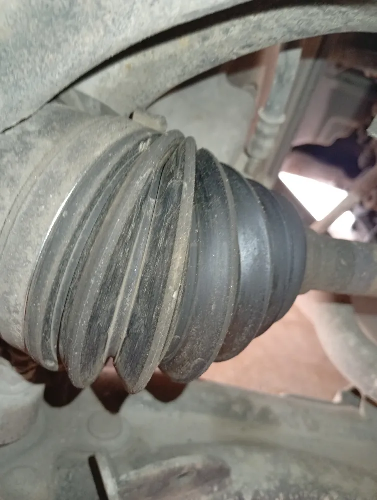 inspection-image