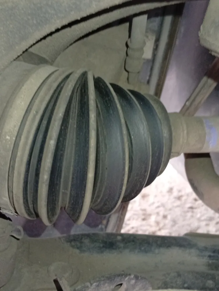 inspection-image
