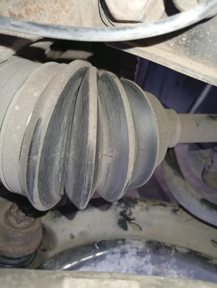inspection-image