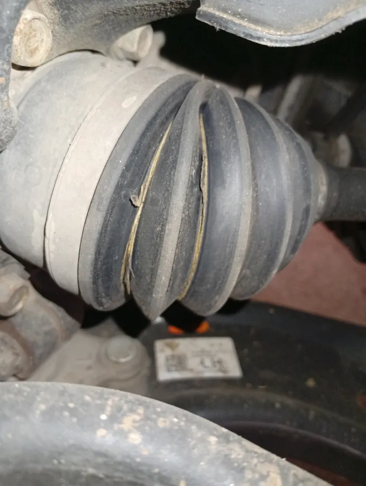 inspection-image