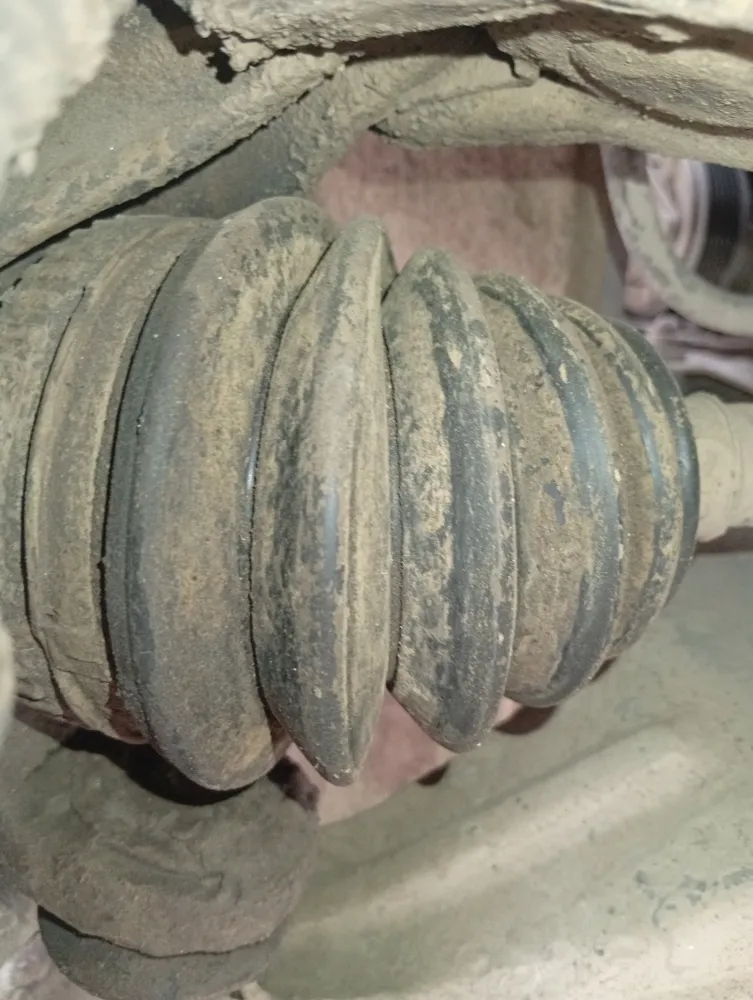 inspection-image
