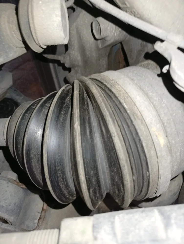 inspection-image