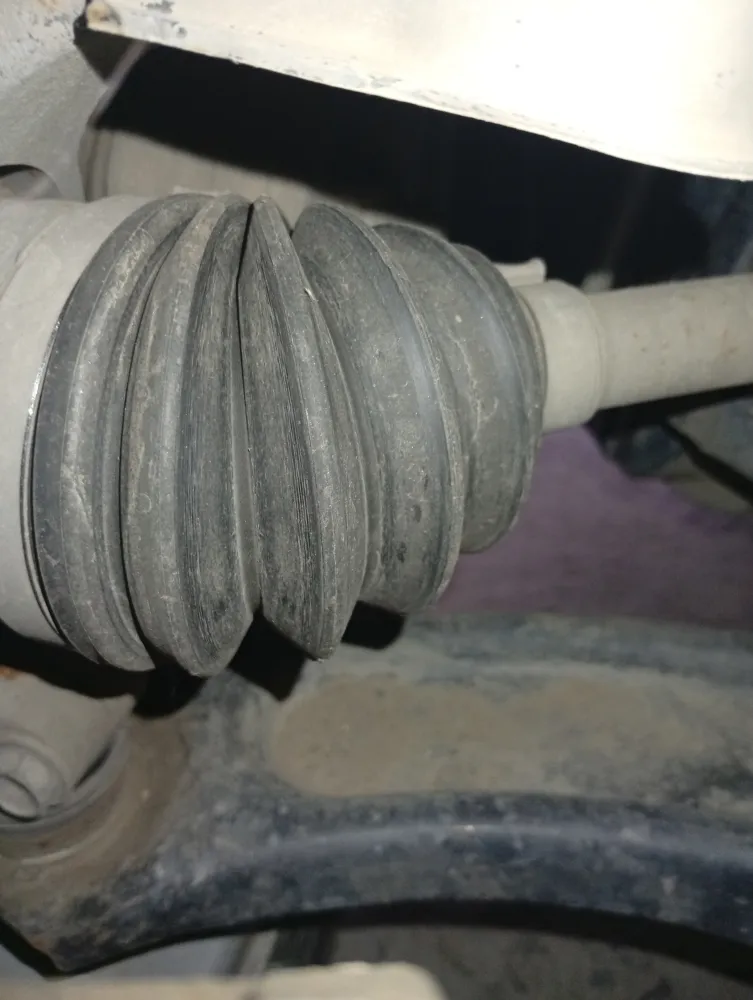 inspection-image
