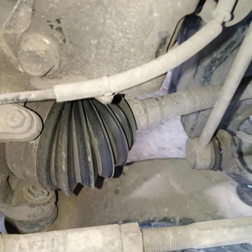 inspection-image