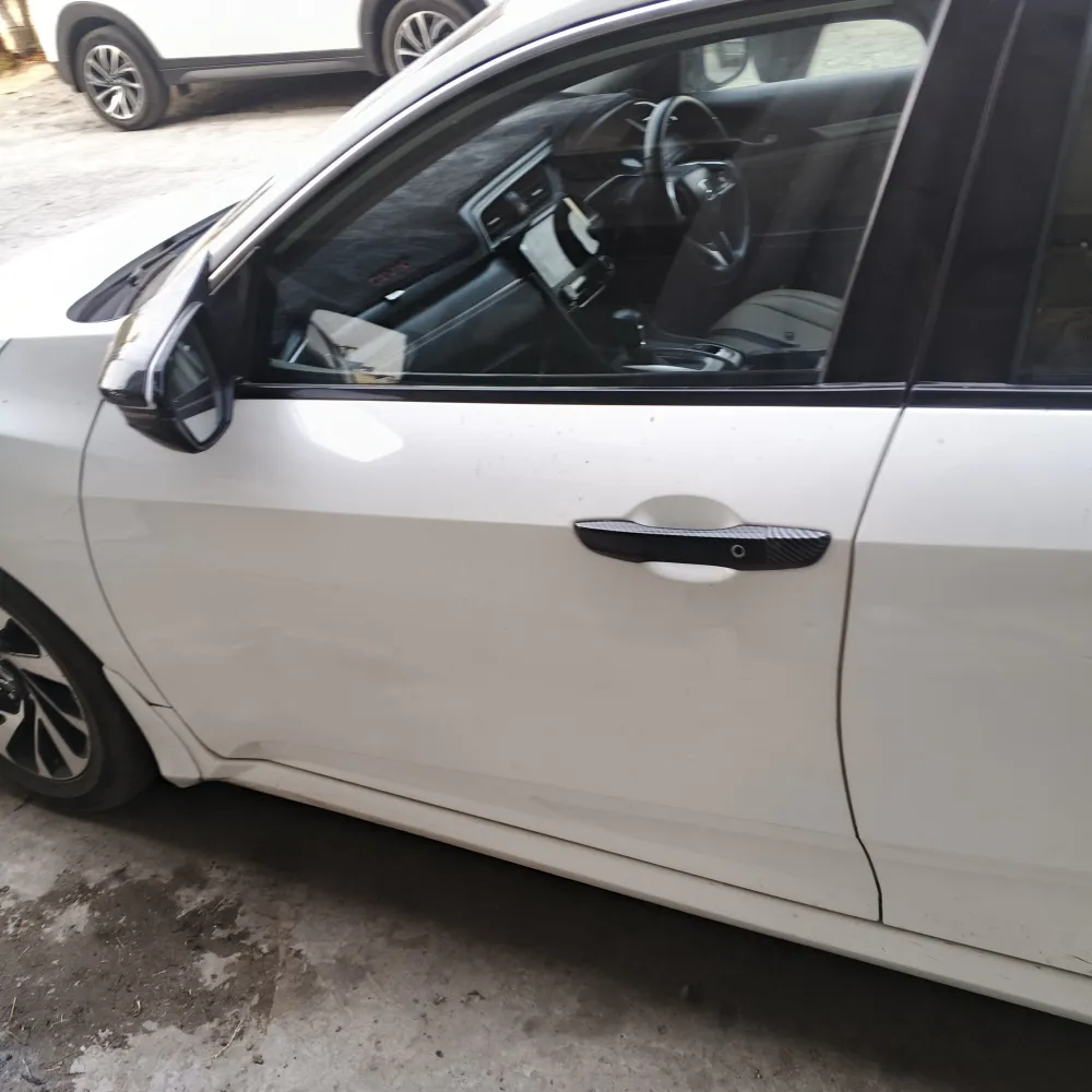 Front_left_door image