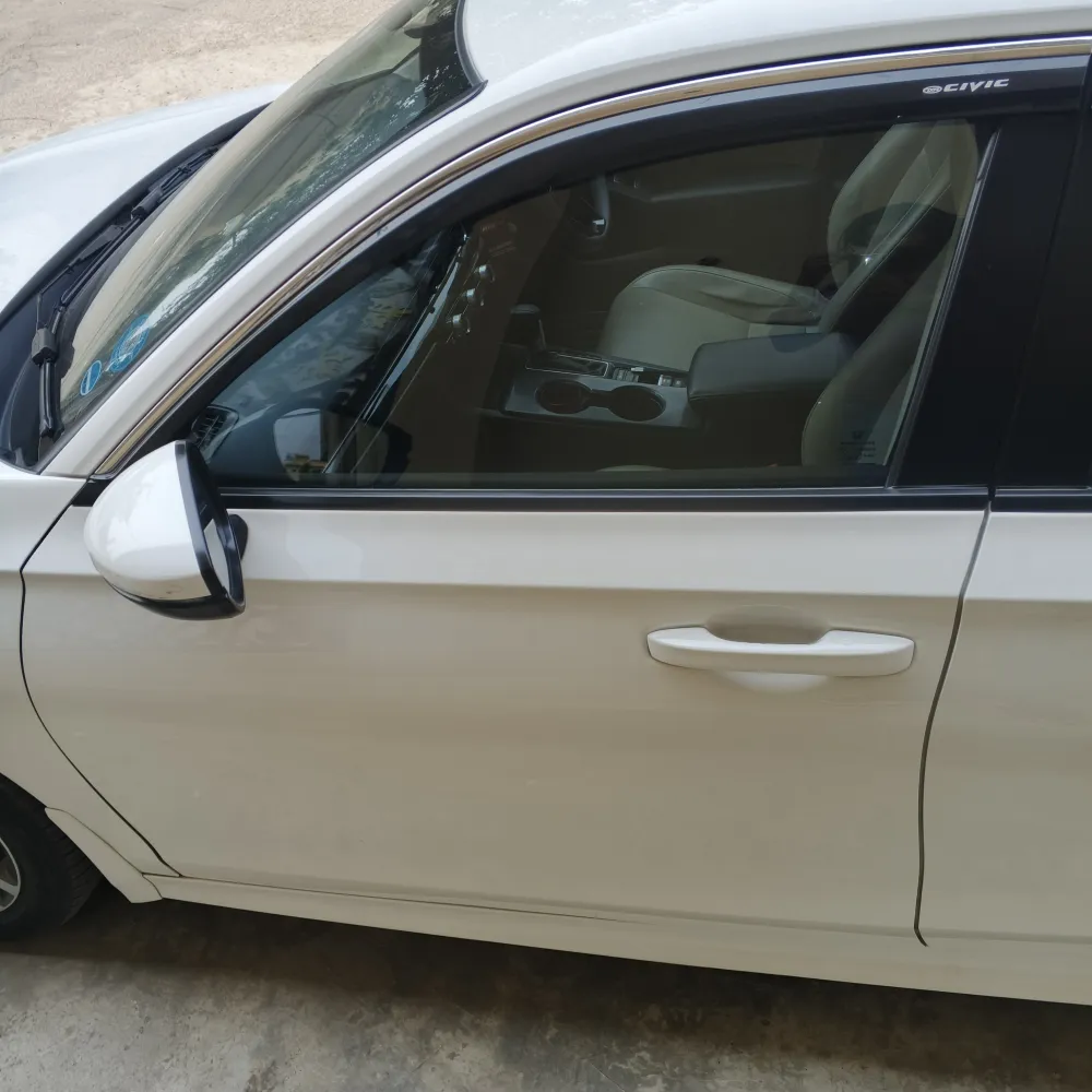 Front_left_door image