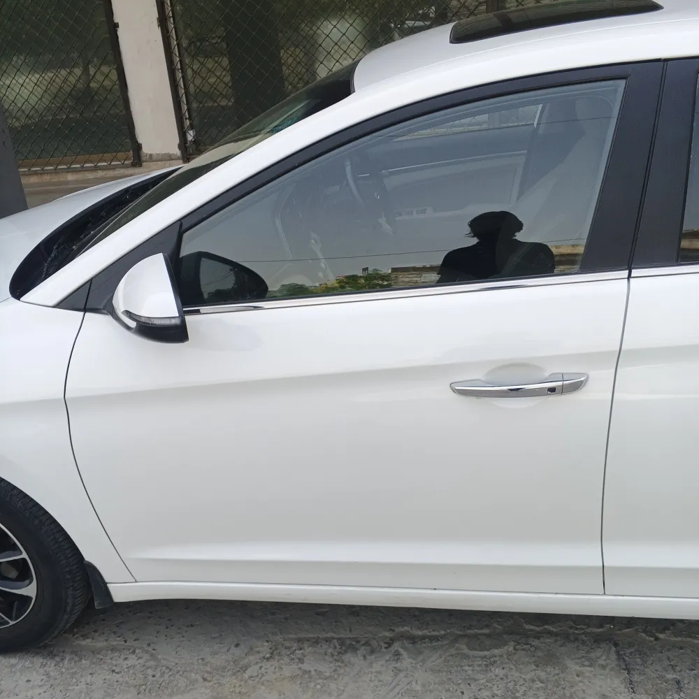 Front_left_door image