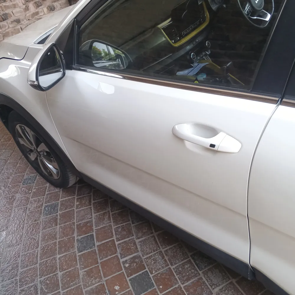 Front_left_door image