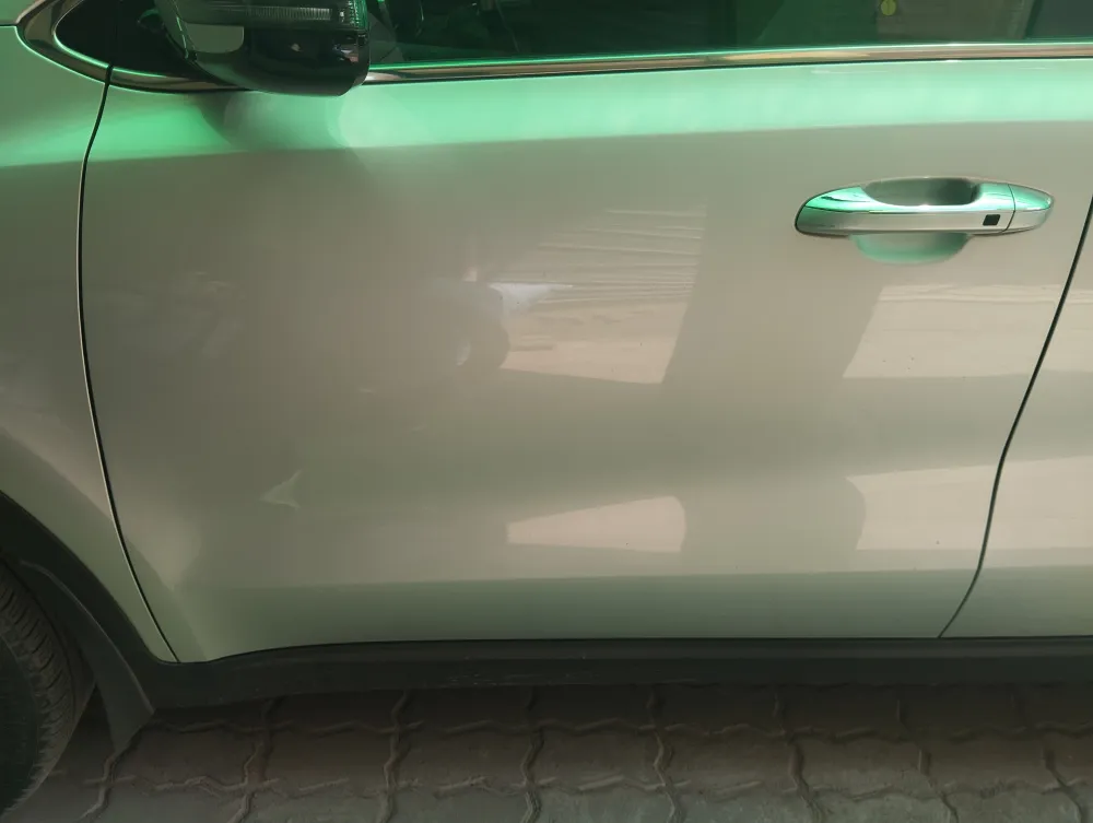 Front left door